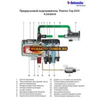   webasto thermo top evo 5 